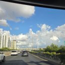 월계수공인중개사사무소 이미지