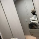 용동물병원 | [고양이 동물 병원] 화성 남양 고양이 스케일링 진료, 이루다동물병원 후기