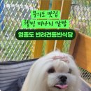 무의도맛집 웰빙미나리쌈밥
