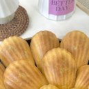 견묘양처 이미지