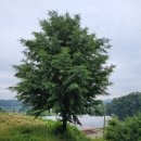 만수목장 이미지