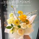 플로리움 이미지