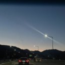스물셋