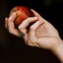 [공지] 독서思惟: 진화론과 창조론을 뛰어넘는 새 이론 [모든 것이 하나님의 뜻] A New Theory Beyond...