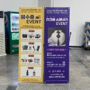 전통적인 아름다운 바느질 규방공예 | [2026 티 앤 크래프트 페어] 🍵차와 공예의 만남, 전시 후기 (이벤트, 꿀팁, 부스 추천)