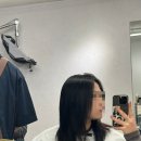 혼키(honki) 이미지