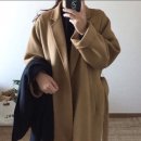 데이온 이미지