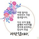 오늘의 포토뉴스 2023.06.13.(화) 이미지