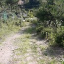 앙성면사무소 이미지