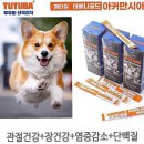 노블젠 이미지
