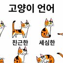 카페;이화
