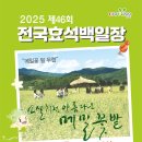 메밀꽃체육관 이미지