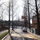 용호부동산중개사무소 이미지