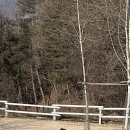 재환목장 이미지