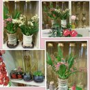 환타지아 이미지