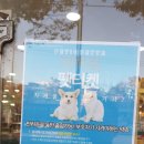 펫마트서동점