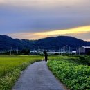 주니아논산점