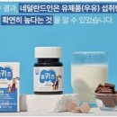 밀키즈 티스토리