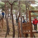 산막이옛길 주차장 Daum카페