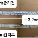 손미담