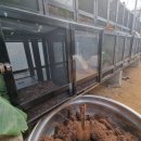 일중농장 이미지