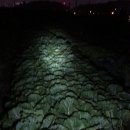 김홍철농장 이미지