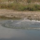 여주-0810 이미지