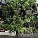 에그리데이(EGGRYDAY) 이미지