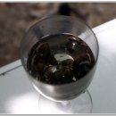 숲속의 휴식 이미지