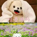 쥬아 이미지