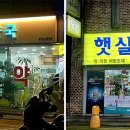 하니약국 티스토리