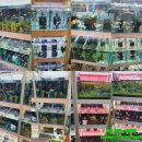 비즈아쿠아수족관 이미지