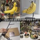 디자인바나나 | [내돈내산리뷰/알레시] 알레시 디어 찰리 바나나걸이 장단점 1년 이상 사용 후기