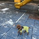 즐거운유치원 이미지