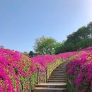 한국의 아름다운 산천 이미지