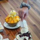 엘커피 | 다낭 기념품 커피 마카다미아 가격 위즐커피 여기다있다