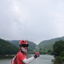 상영죽길 이미지