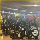 머슬핏 피트니스 이미지