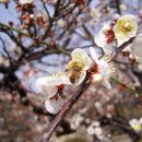 김해건설공업고등학교 이미지