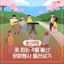아츠홀릭 판-바스커션 | 꽃 피는 4월 울산 문화행사 둘러보기