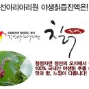 정선아리아리원 이미지