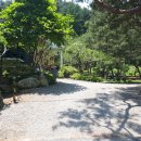 소나무정원 이미지