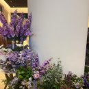 (주)다모임 이미지