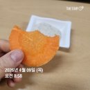엄나무보쌈 | 스위치온 다이어트 2주차 후기 +0.33kg 미쳐
