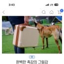 이런 바퀴없는 여행가방?캐리어? 편해?? 이미지