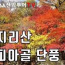 [지리산 등산코스]지리산 피아골 단풍축제 이미지