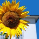 큰부자농장 이미지