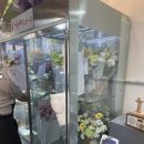 들여다봄 | 🌷 대전 꽃집 ‘오월애플라워’ 둔산동 꽃다발 픽업 후기, 선물 성공!