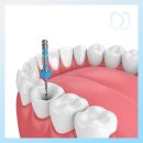 참진치과의원 이미지