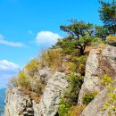 용지봉사계절 이미지